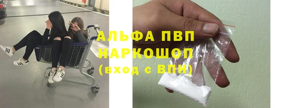 сатива Каменск-Шахтинский