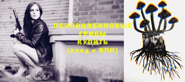 MDMA Каменногорск