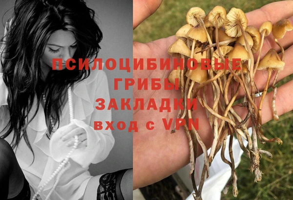 кокс Каменка
