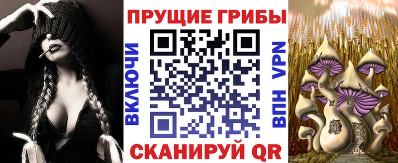 Псилоцибиновые грибы мицелий Дмитровск