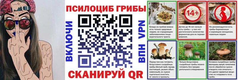 Купить закладки  Дмитровск  Псилоцибиновые грибы мухоморы 