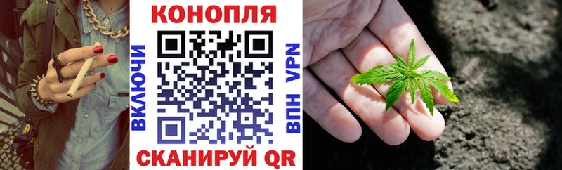 Конопля сатива  Купить где  Дмитровск 